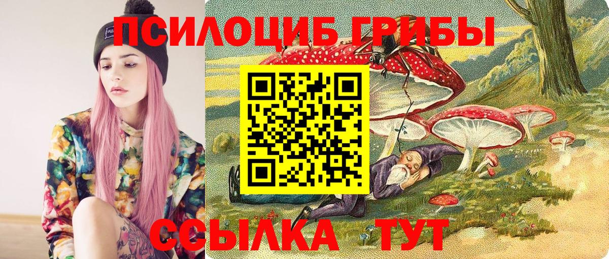Псилоцибиновые грибы Cubensis Нурлат