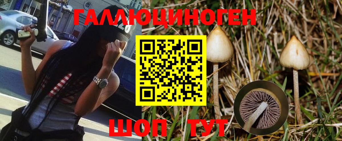 Псилоцибиновые грибы мицелий  Галлюциногенные грибы Psilocybine cubensis  Вход с VPN  Нурлат 